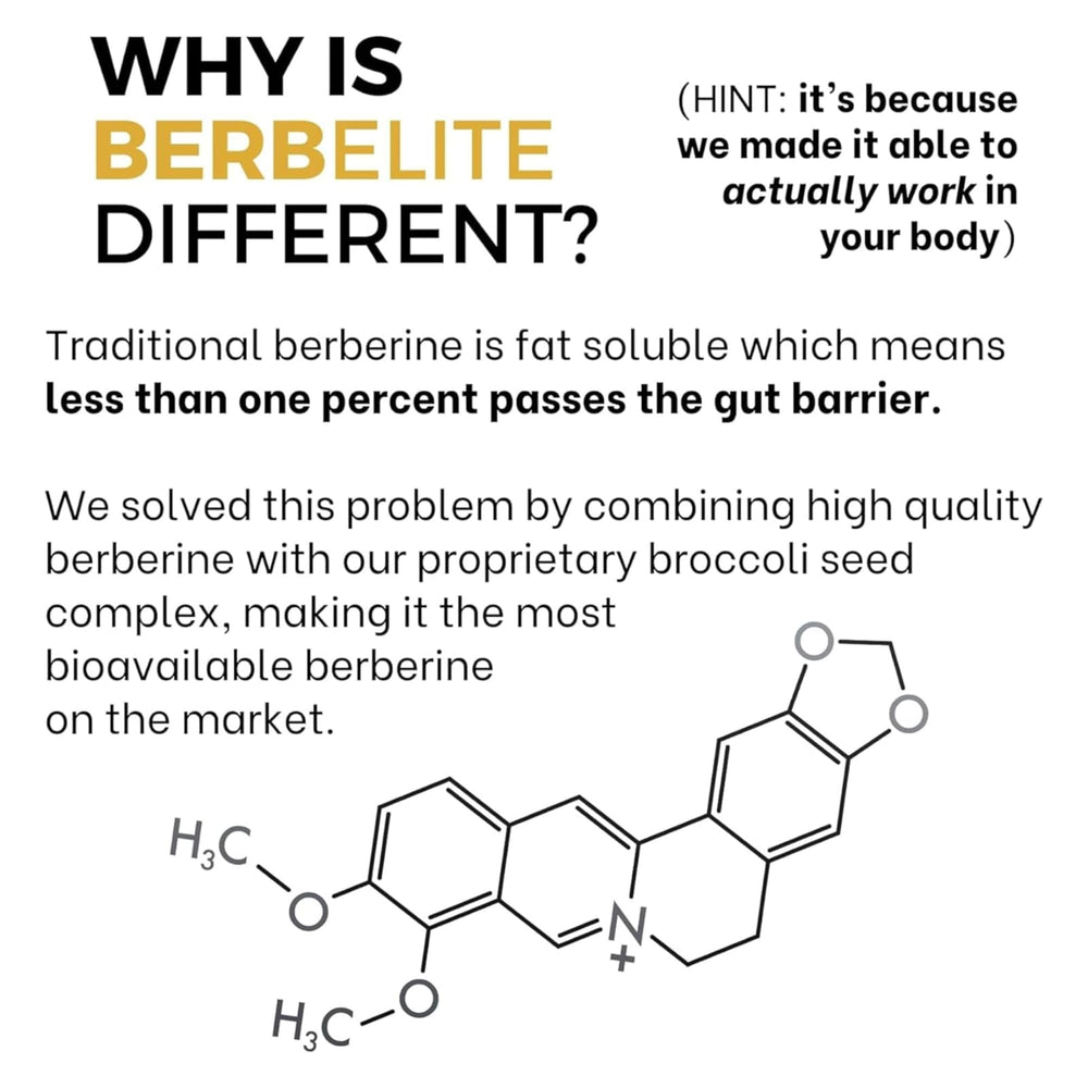 BrocElite BerbElite dosing chart illustrates morning and evening options.