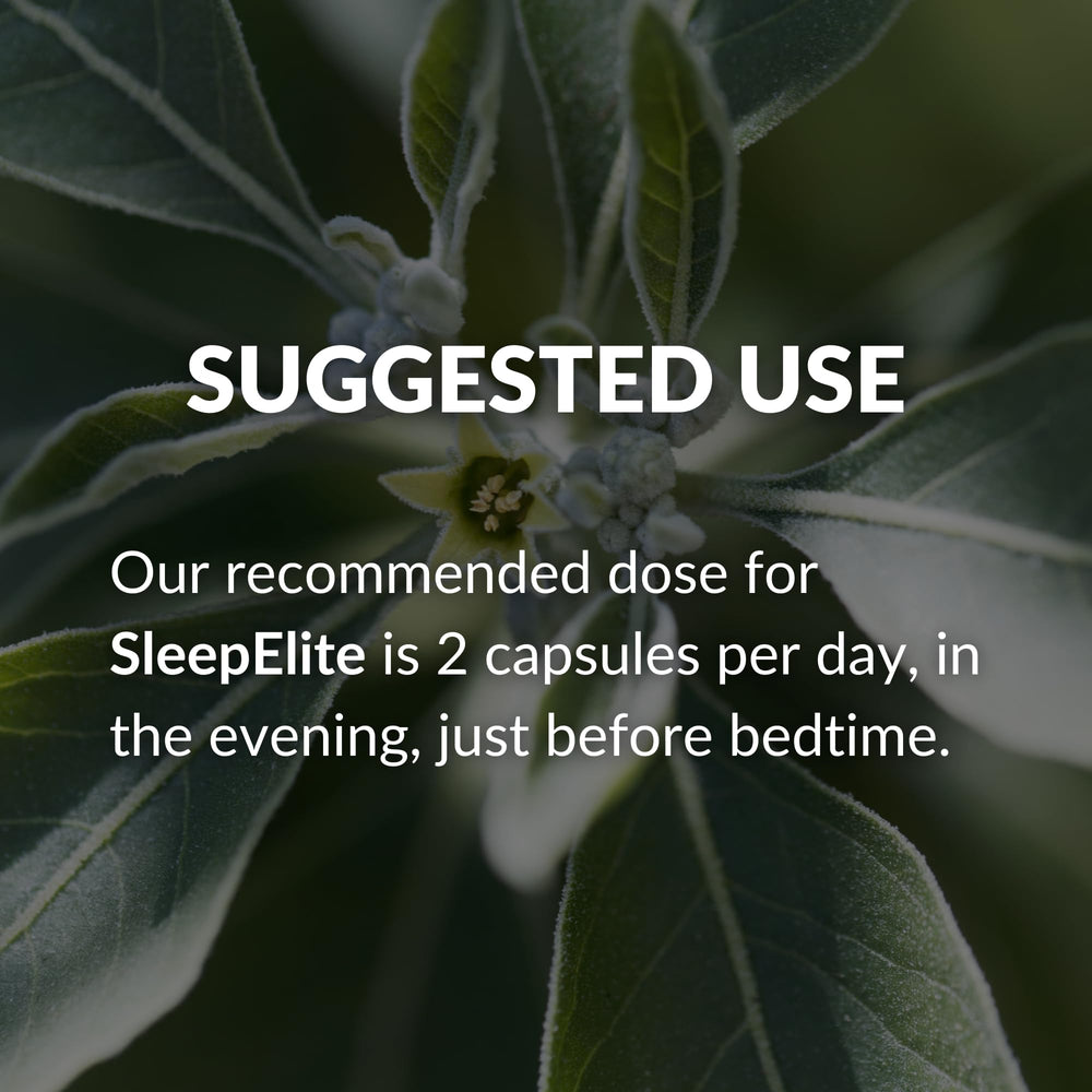 BrocElite SleepElite bedside storage scene showing convenient container for night routines.