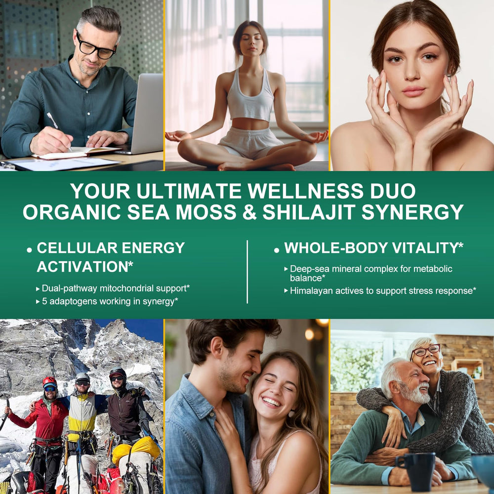 Bualle ashwagandha and shilajit capsules for energy