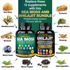 Close-up of Bualle sea moss and shilajit capsules