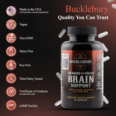 Bucklebury Brain ingredients graphic highlights Lion’s Mane and Ginkgo Biloba.