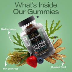 BUCKLEBURY gummies ready for everyday immune and digestive wellness.