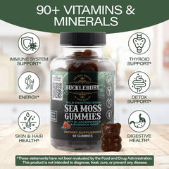 BUCKLEBURY sea moss gummies close-up showing chewy texture.