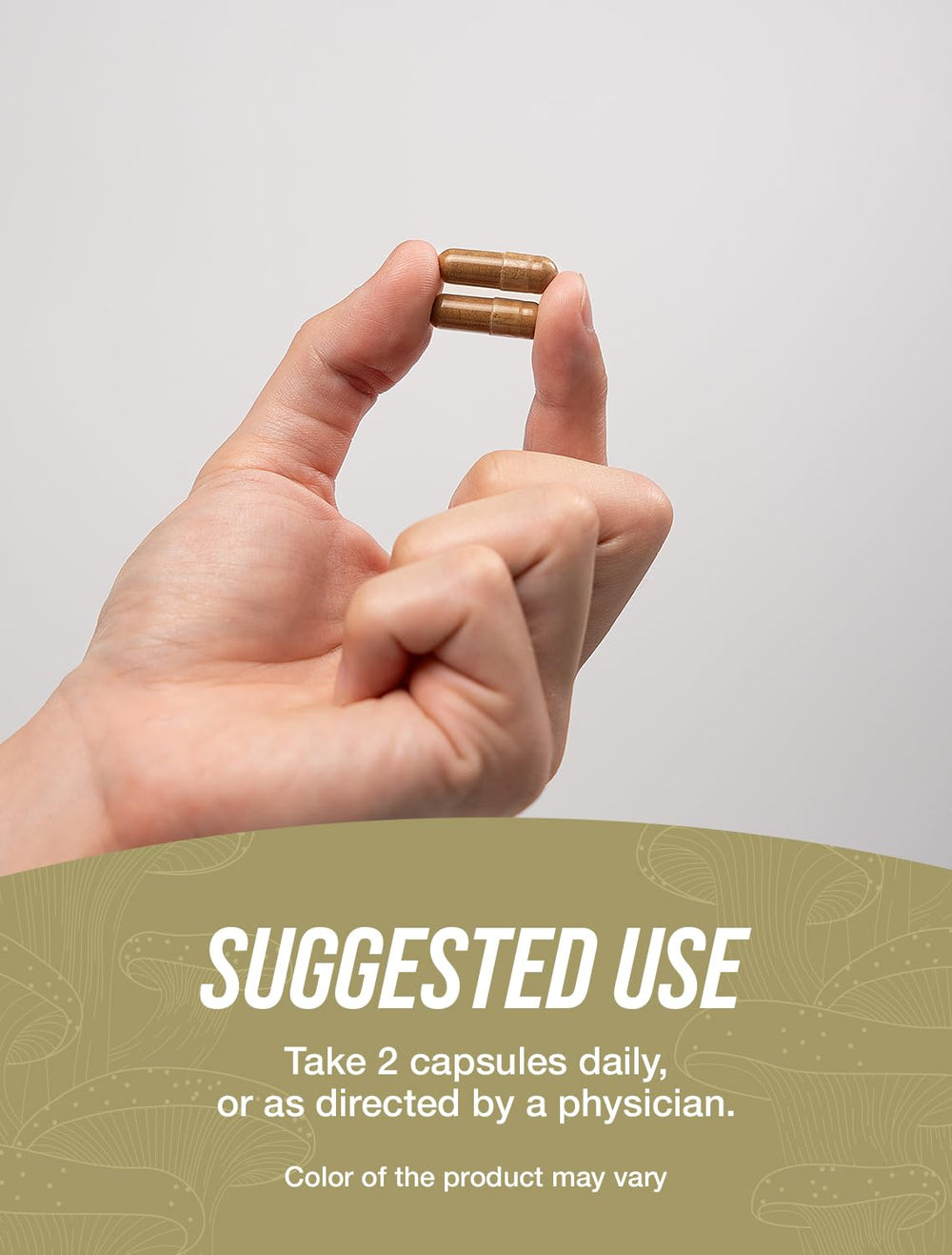 BulkSupplements Coriolus-versicolor extract capsules emphasize daily wellness potential.