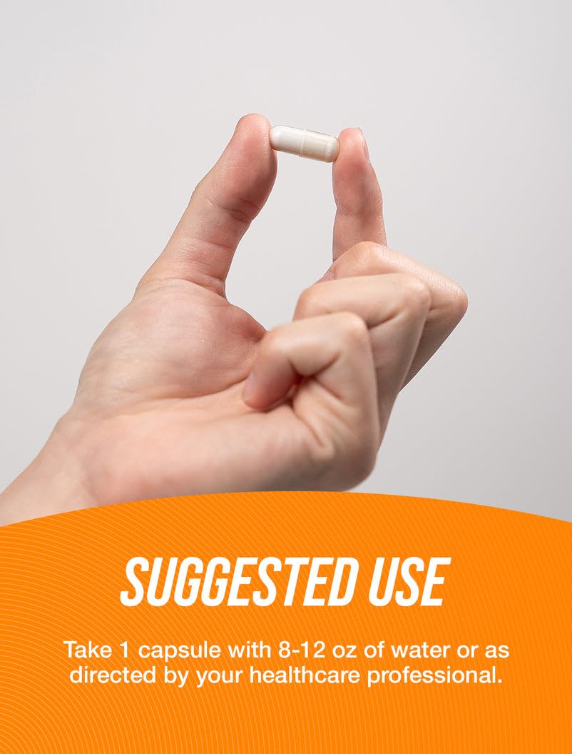 BulkSupplements N-Acetyl L-Glutamine capsule label close-up highlighting third-party testing.