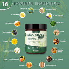 Buporai Sea Moss Gummies on-the-go bottle ready for travel.