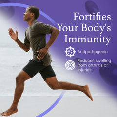 C60 Evo ESS60 olive oil bottle emphasizing antioxidant-rich immune support.