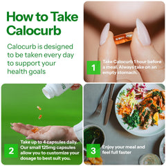 Calocurb-one-hour-glp1-effect hints at faster fullness after eating.