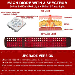 CAMECO six-modes belt presenting versatile therapy options for daily use