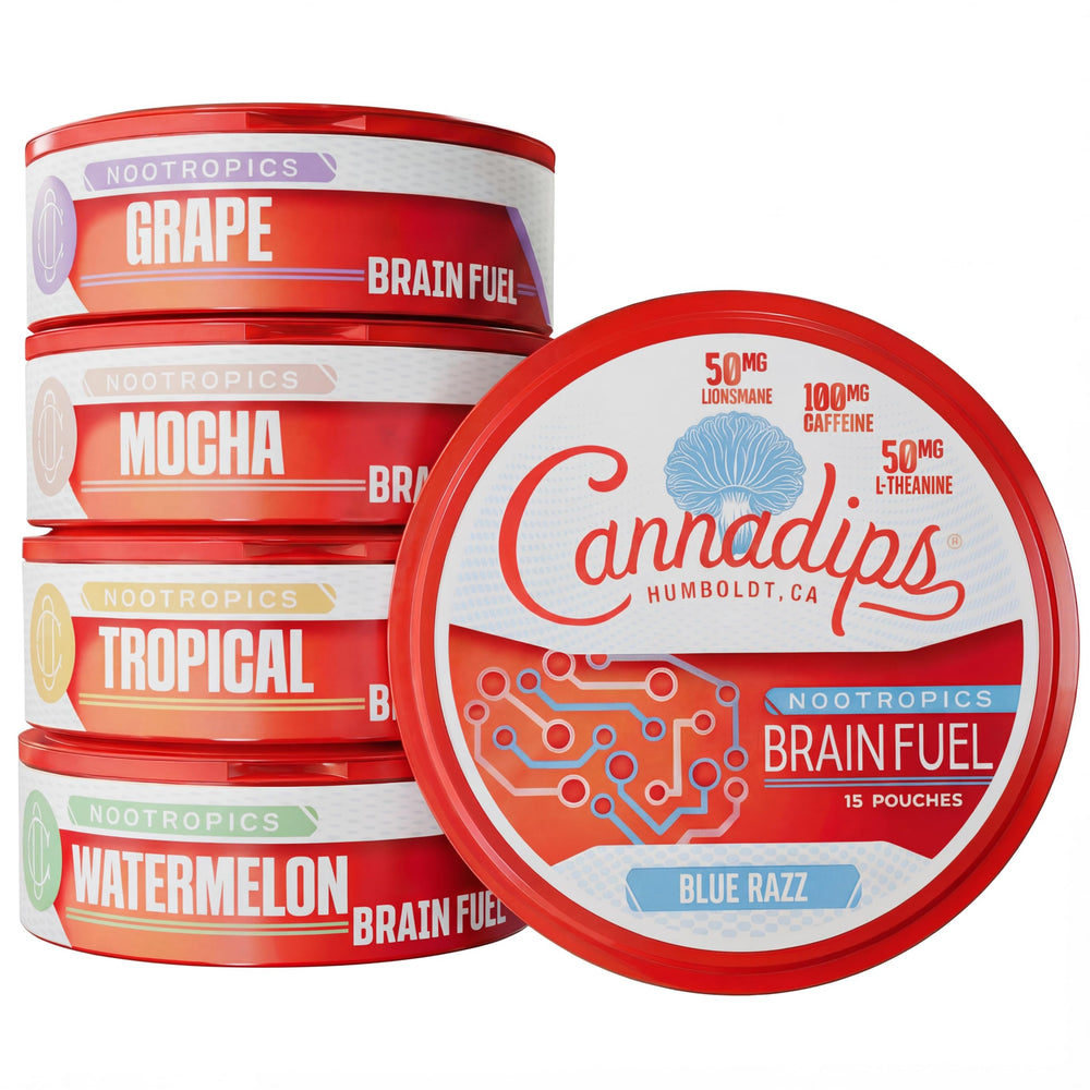 Cannadips Brain Fuel Variety Pack hero image showing all pouches for focus potential