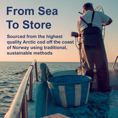 Carlson wellness-focused fish oil bottle fits a busy lifestyle