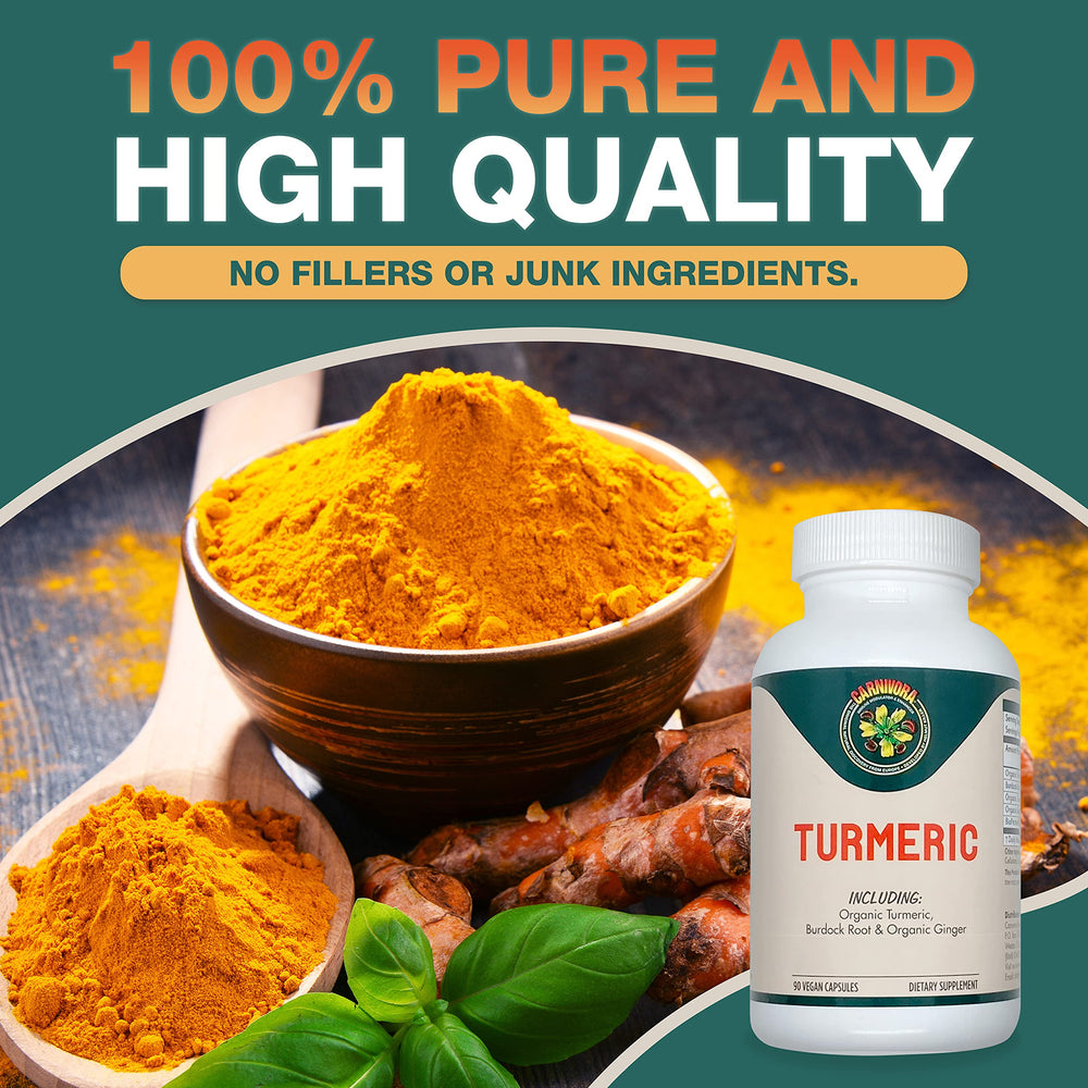 Carnivora Turmeric ingredients label showing turmeric, ginger, burdock, and black pepper.