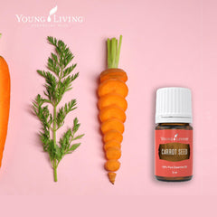 Carrot Seed Oil 5 ml for nourishing, softer complexion and radiant tone.