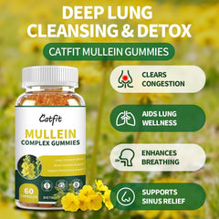 Catfit Mullein Gummies close-up reveals chewy texture and pineapple flavor.
