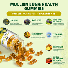 Catfit Mullein Gummies ingredient blend includes mullein, quercetin, and elderberry.