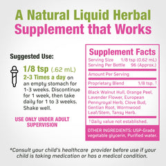 Cedar Bear liquid herbal drops close-up highlighting natural herbs for digestive support