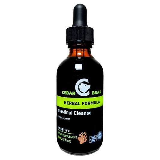 Cedar Bear Naturales Intestinal Cleanse bottle for convenient daily digestive routine.