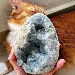 Celestine cluster blue-quartz-geode display brightens the room with luminous crystals.