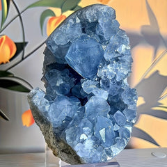 Celestine cluster meditation-space-energy fosters mindful ambiance.