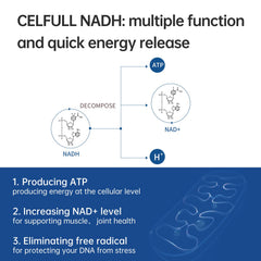 CELFULL NADH packaging emphasizes stability through four-layer coating