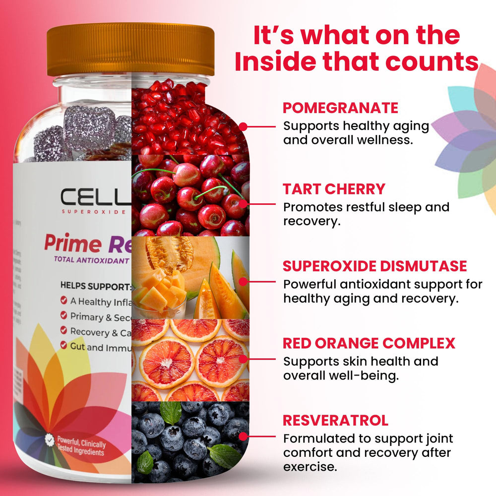 Cellev8 Prime Recovery glass bottle on kitchen counter for daily use.