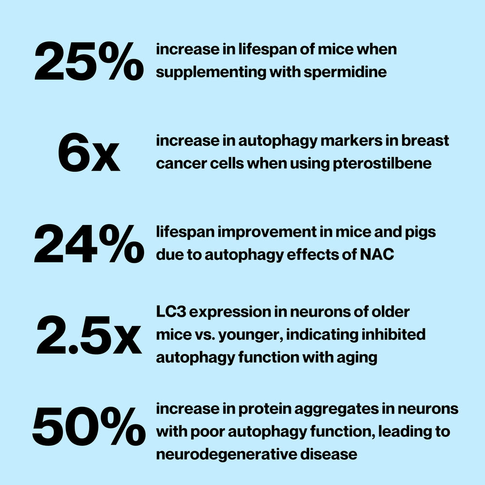 Celly Autophagy Activator cap label highlights vegan formula.