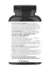 Seven key ingredients highlight a comprehensive immunity boosting blend