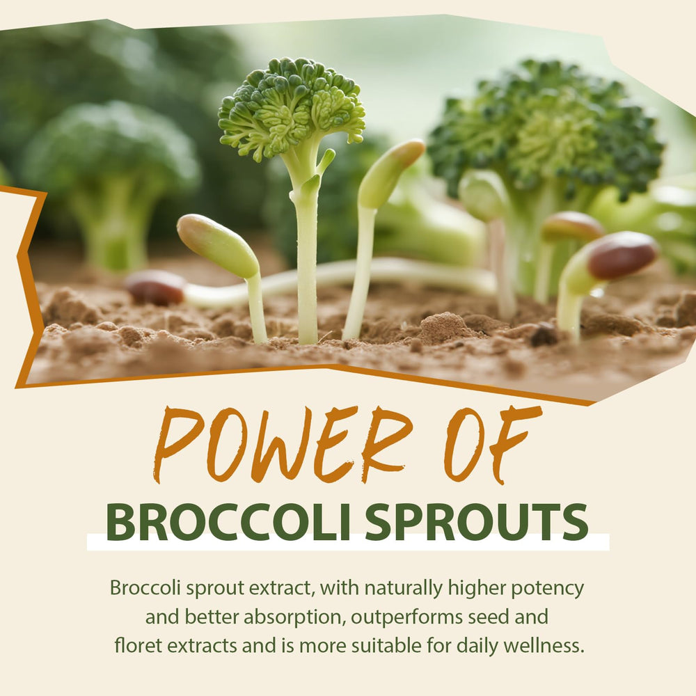 Cenffitio broccoli sprouts powder centerpiece emphasizes glucoraphanin-rich formula.