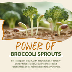 Cenffitio broccoli sprouts powder centerpiece emphasizes glucoraphanin-rich formula.