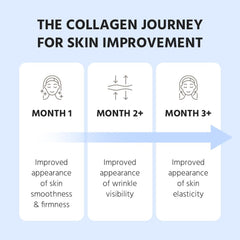 Batch test report signifying third-party safety checks on Cevitol Marine Collagen.
