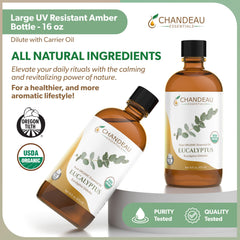 Chandeau Essentials diffuser-ready eucalyptus oil for room scents