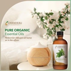 Chandeau Essentials peppermint oil diffuser setup to freshen a room.