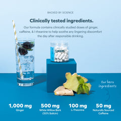 Cheers Relief L-Theanine capsules on bright backdrop for focused daytime recovery