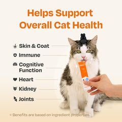 Chogong Easy Care Omega-3 no preservatives closeup emphasizes clean formula.