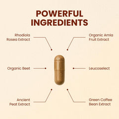 CHOQ Action 2.0 capsules closeup, ready for daily energy support.