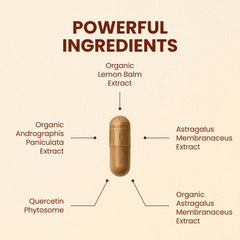 CHOQ Armor bottle side label highlights 20x absorption quercetin phytosome