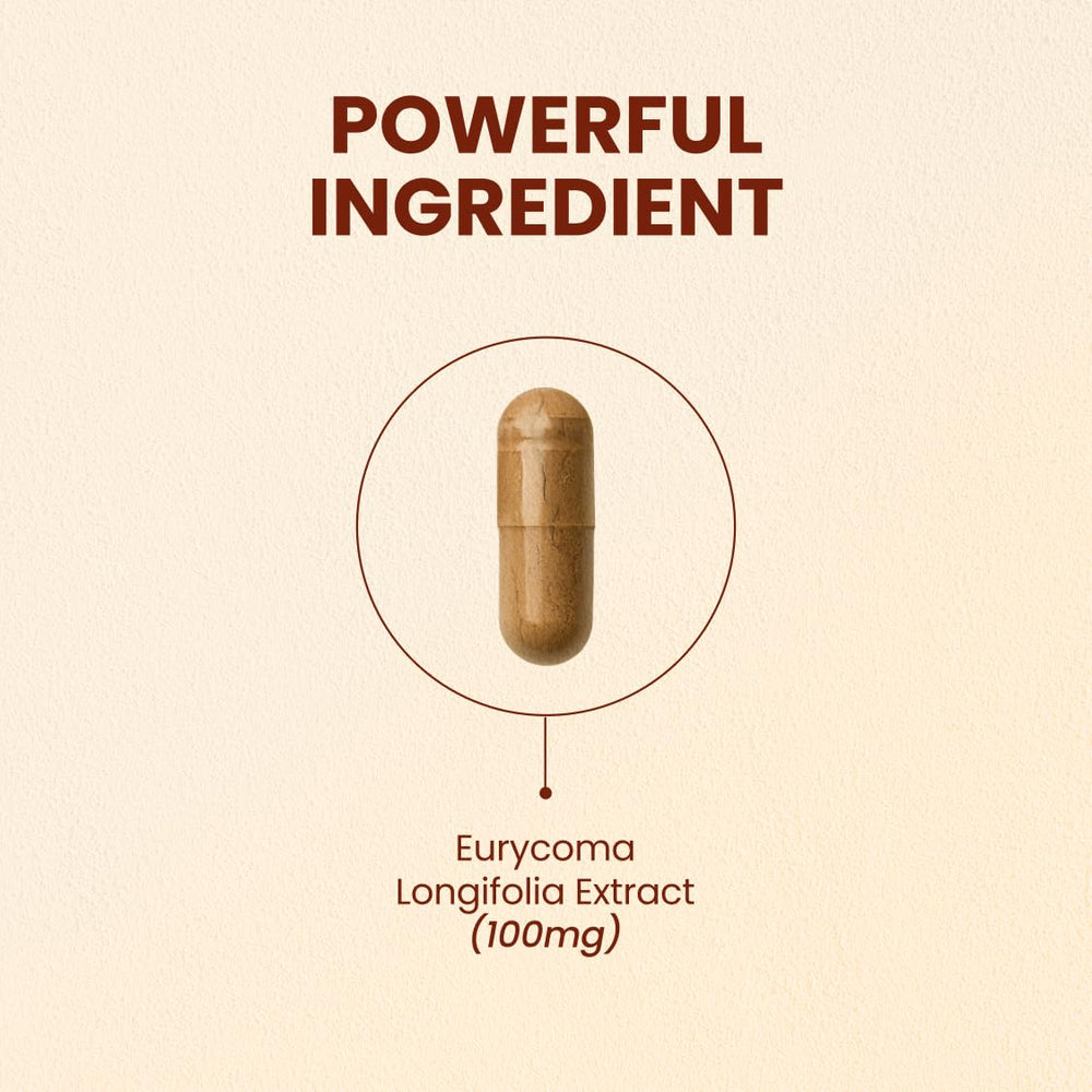 CHOQ Tongkat Ali bottle front indicating LJ100 potency for testosterone support