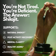 Chuga Shilajit mineral-rich resin pool illustrating natural mineral content.