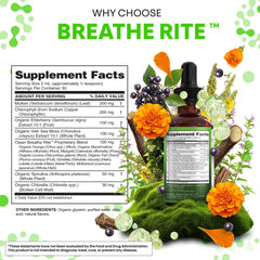 Clean Nutra sea moss liquid bottle emphasizes mineral-rich support with seaweed blend.