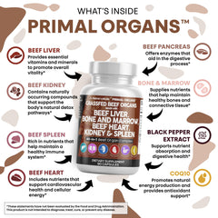Clean Nutraceuticals desiccated beef liver capsules spotlight.