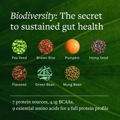 Meal replacement concept with greens bowl demonstrates nourishing everyday option.