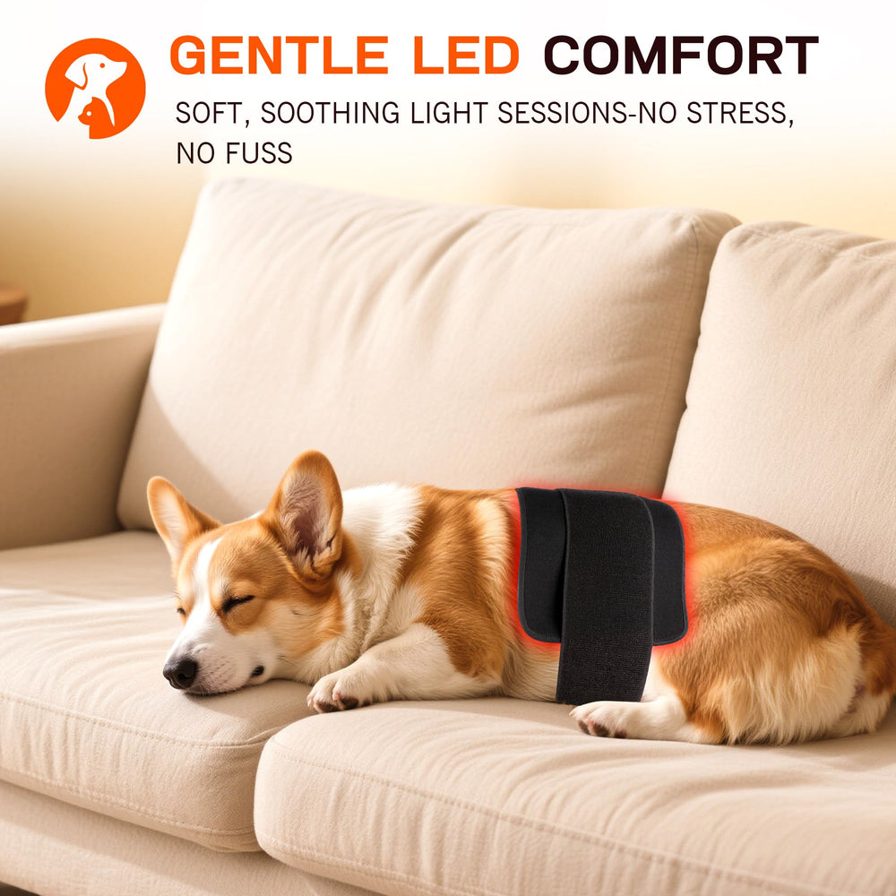 Clocness 20-minute timer ensures safe sessions with auto-off.
