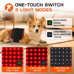Clocness dog home-use guide supports easy setup.