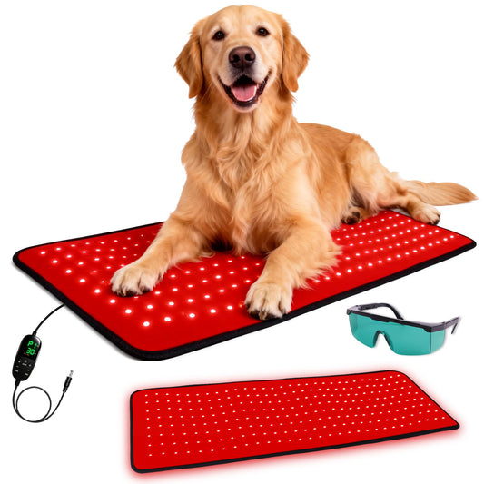 Clocness dog red-light therapy mat with 240 LEDs for soothing joint comfort at home
