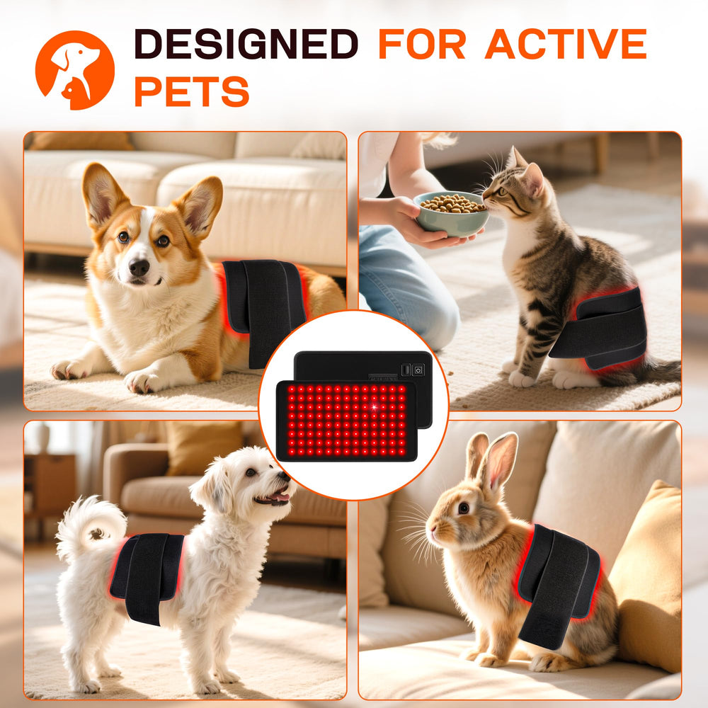 Clocness portable design fits sofa, crate, yard sessions.