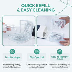 Cloudcruze quiet humidification during nighttime use with stable moisture.