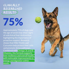 Herbal blend with Dandelion Root and Yellow Dock supports canine wellness.