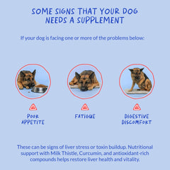 EPA and DHA provide omega fatty acids for overall canine well-being.