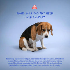 Coco and Luna veterinarian-formulated label signals trusted pet care