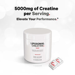 Codeage Liposomal Creatine powder scoop and jar ready to measure.